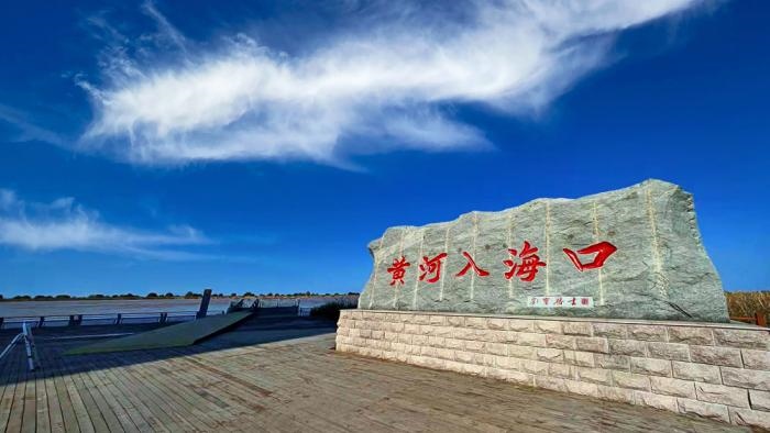 △黃河入海口位于山東東營市墾利區(qū)。(總臺(tái)央視記者彭漢明拍攝)