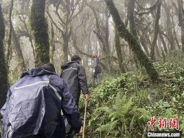 圖為救援現(xiàn)場。鎮(zhèn)沅縣委宣傳部提供