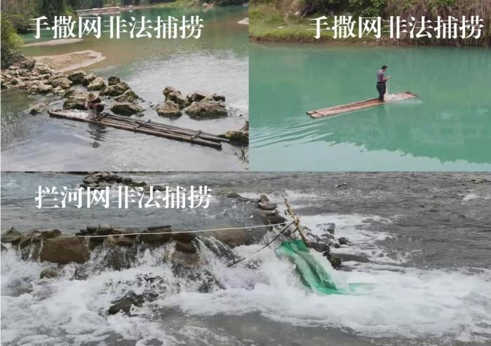 2021年9—10月，前期暗查發(fā)現(xiàn)，保護(hù)區(qū)核心區(qū)內(nèi)非法捕撈行為十分猖獗