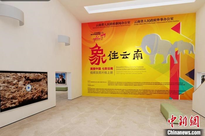 圖為“象”往云南——美麗中國 七彩云南視頻及圖片線上展截圖。　胡遠(yuǎn)航 攝