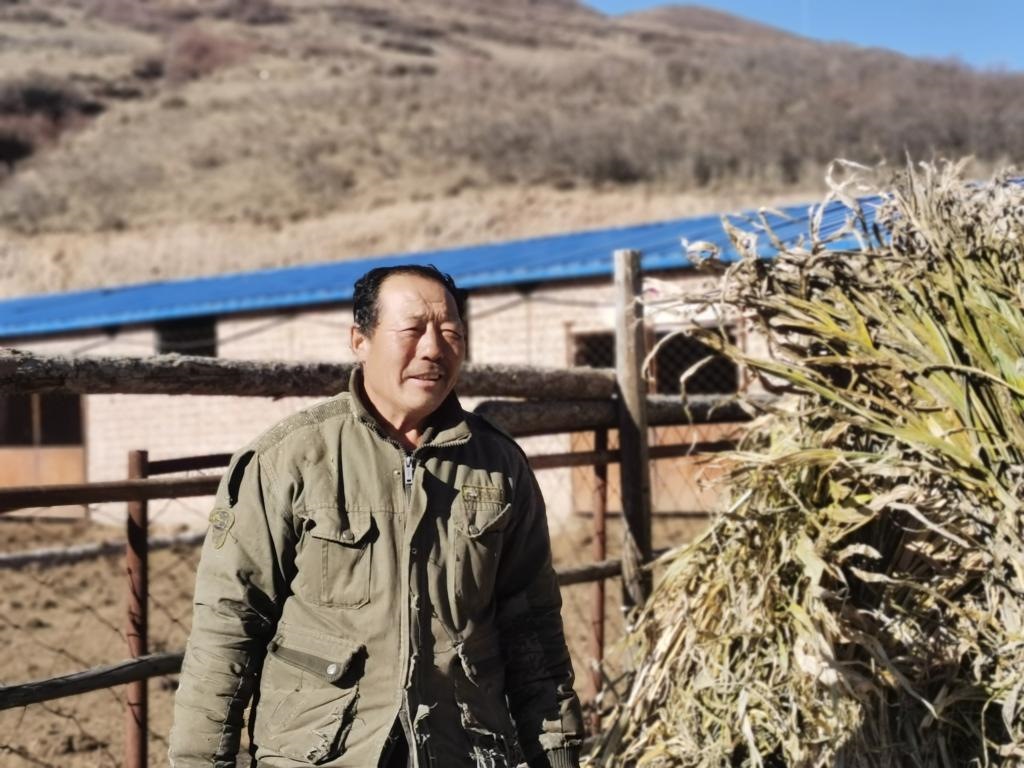 1月19日，山西省岢嵐縣脫貧戶呂如堂在牛圈前準(zhǔn)備草料。新華社記者 梁曉飛 攝
