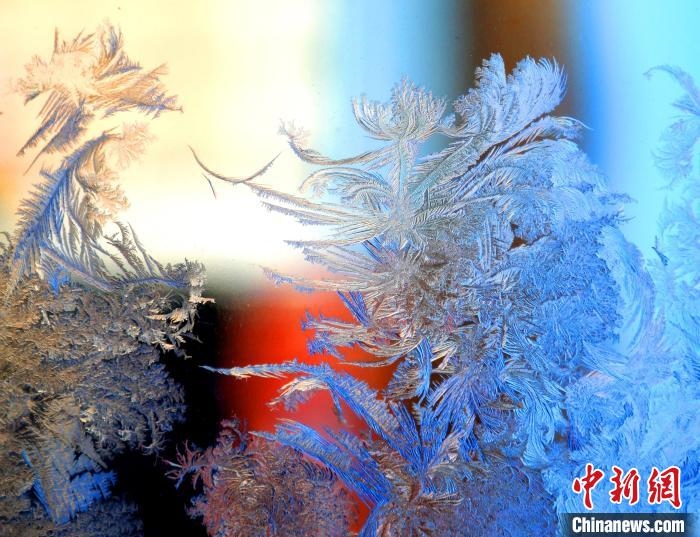 冰窗花千姿百態(tài)?！O書程 攝