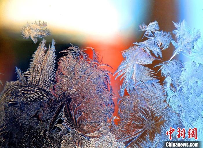 惟妙惟肖的冰窗花，似一幅風(fēng)景畫?！O書程 攝