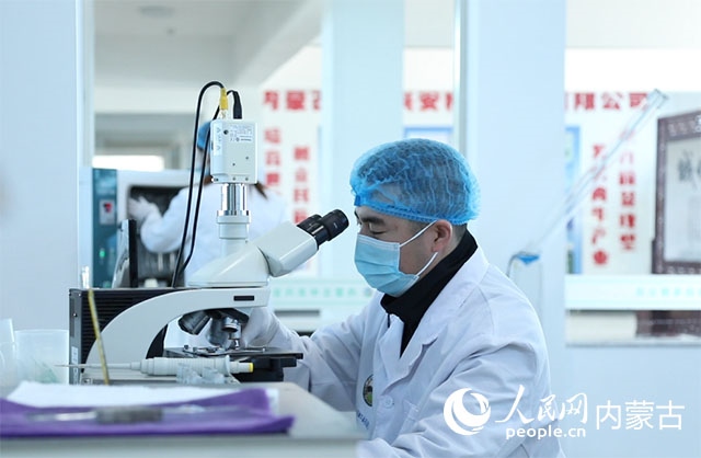 內(nèi)蒙古中農(nóng)興安種牛科技有限公司落戶科右中旗，為肉牛產(chǎn)業(yè)發(fā)展提供了優(yōu)質(zhì)的種源保障。白俊華攝