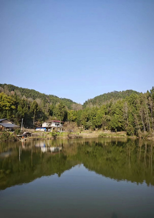 這樣在對面看，老家也算依山傍水.jpg