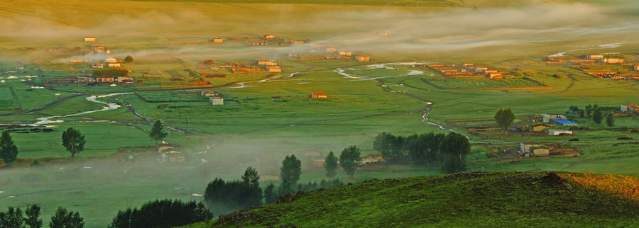 在“螞蟻森林”項(xiàng)目區(qū)，群眾攜手共添新綠（攝影：刁博禹）.jpg