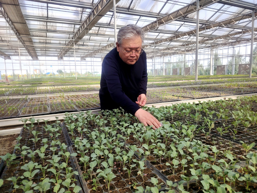 1749213121446669.jpg 1749175072741705.jpg