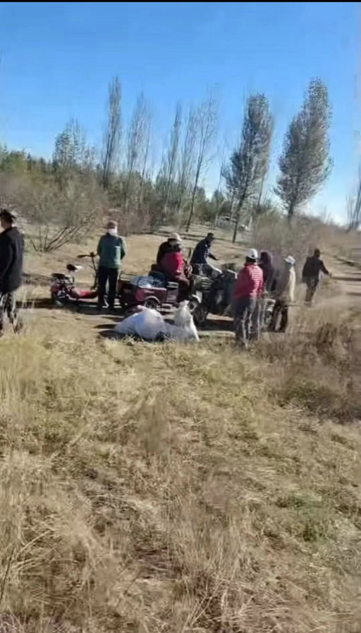 1763105393925613.jpg 葵花1.jpg