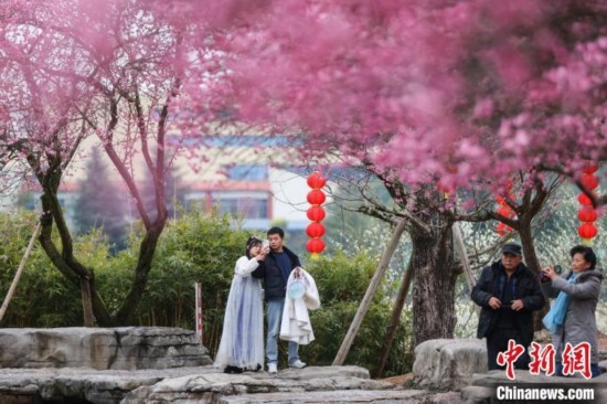 2月23日，市民在乾藝梅園景區(qū)觀賞綻放的梅花。瞿宏倫 攝