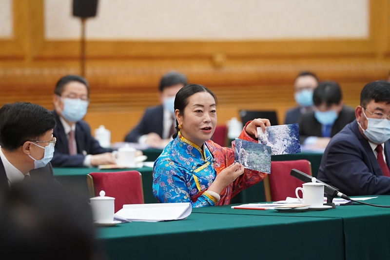 2021年3月7日，習(xí)近平總書記在參加十三屆全國人大四次會議青海代表團審議時，全國人大代表孔慶菊在會上展示了兩張照片，上面分別是祁連山地區(qū)多年不見蹤跡的雪豹和荒漠貓。