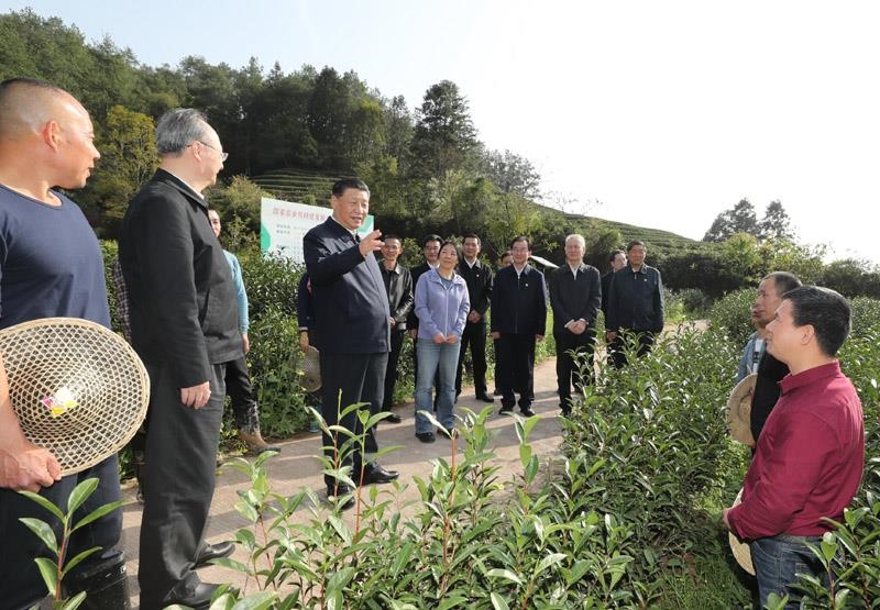 2021年3月22日，習(xí)近平總書記在福建南平武夷山市星村鎮(zhèn)燕子窠生態(tài)茶園，同科技特派員、茶農(nóng)親切交流，了解當(dāng)?shù)夭璁a(chǎn)業(yè)發(fā)展情況。