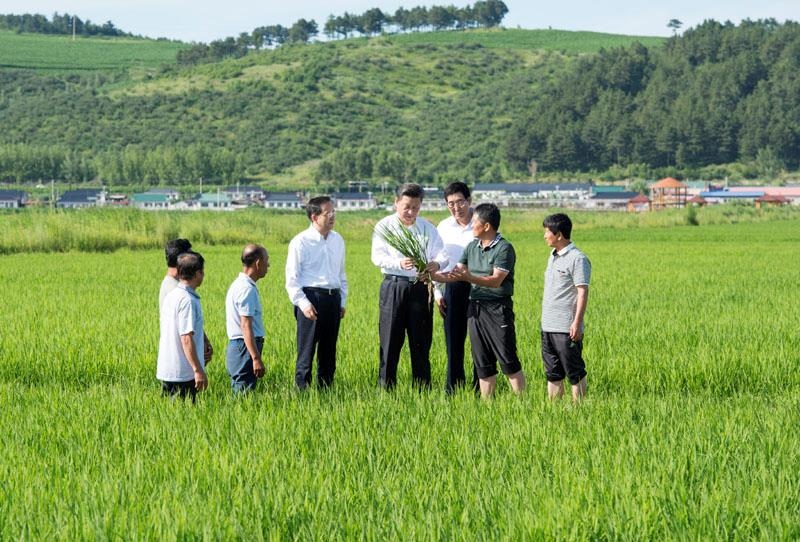 2015年7月16日，習(xí)近平總書記在吉林延邊州光東村稻田同村民和農(nóng)技人員交流。