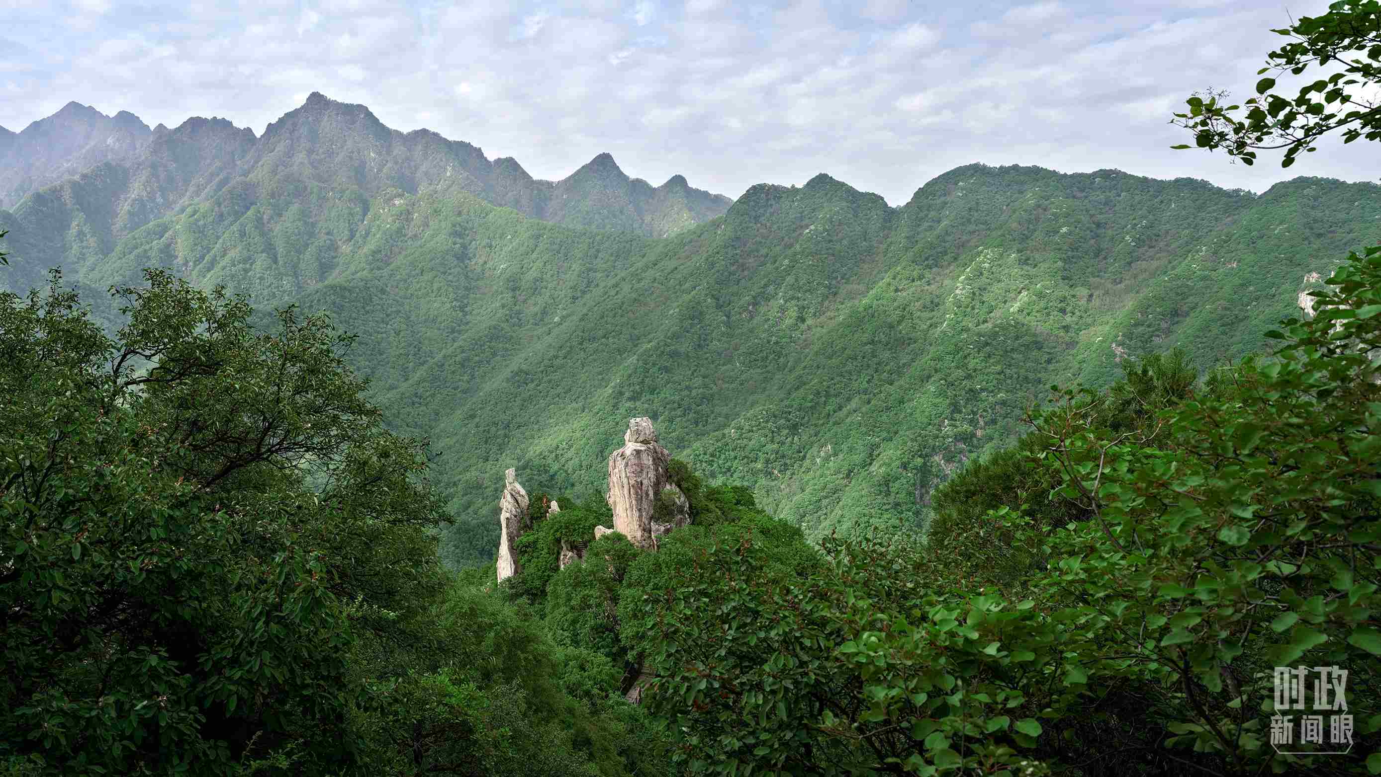 △秦嶺。（圖／視覺中國）