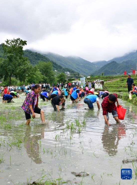 5月27日，秭歸縣九畹溪鎮(zhèn)農(nóng)民參加摸魚比賽。