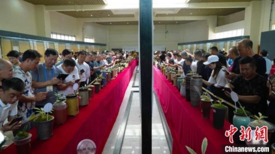 圖為活動現(xiàn)場。 云南省委臺辦供圖