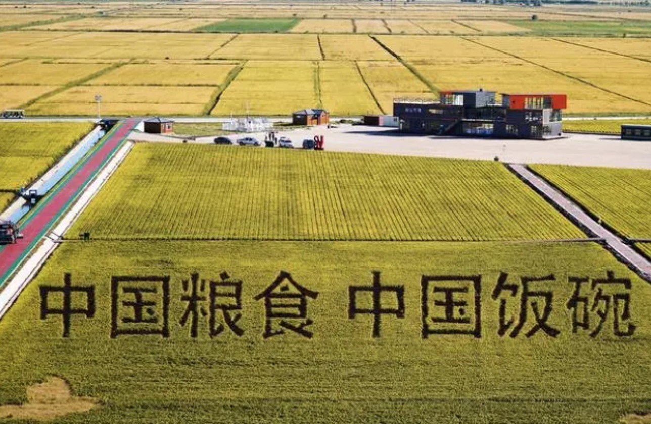 2022年9月2日，黑龍江省富錦市萬畝水稻科技示范園內的稻田畫。