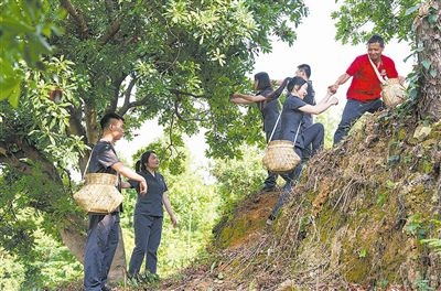 村民幫助志愿者爬上山坡。