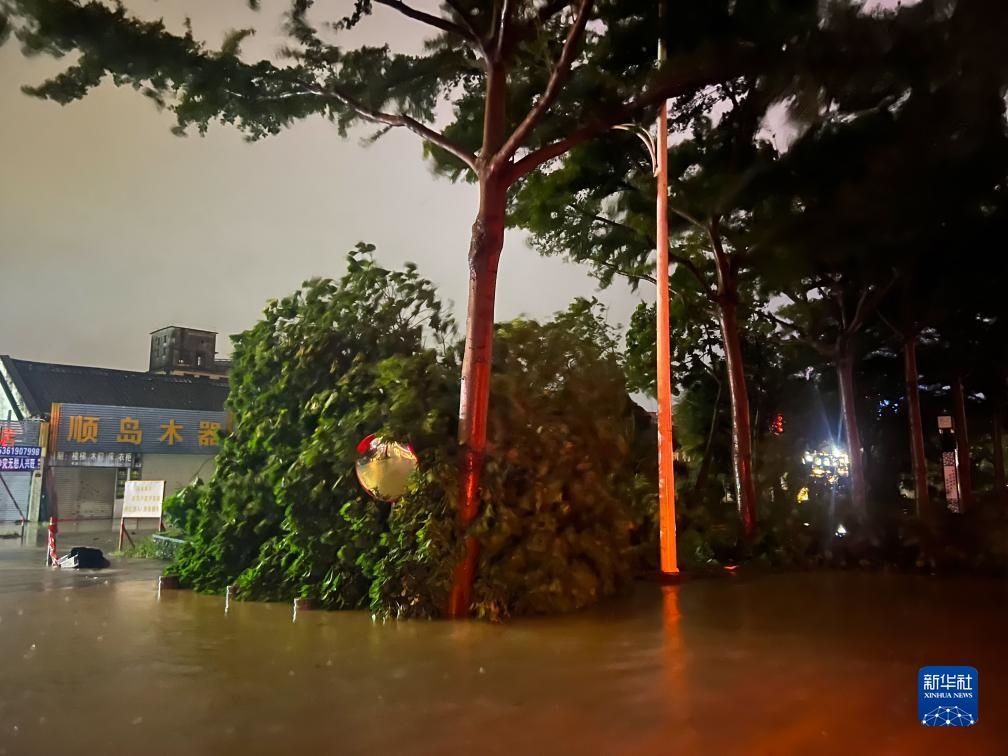 7月17日晚，在廣東湛江海濱大道北，路邊的樹木被風(fēng)刮倒（手機(jī)照片）。新華社記者 鄧華 攝