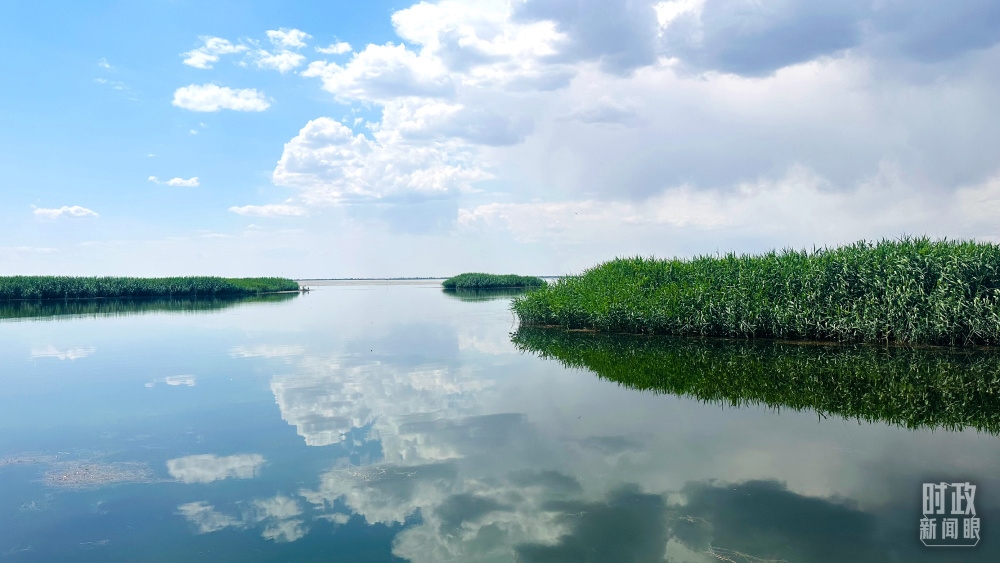 內(nèi)蒙古烏梁素海，是黃河流域最大的湖泊濕地。（總臺(tái)央視記者范一鳴拍攝）