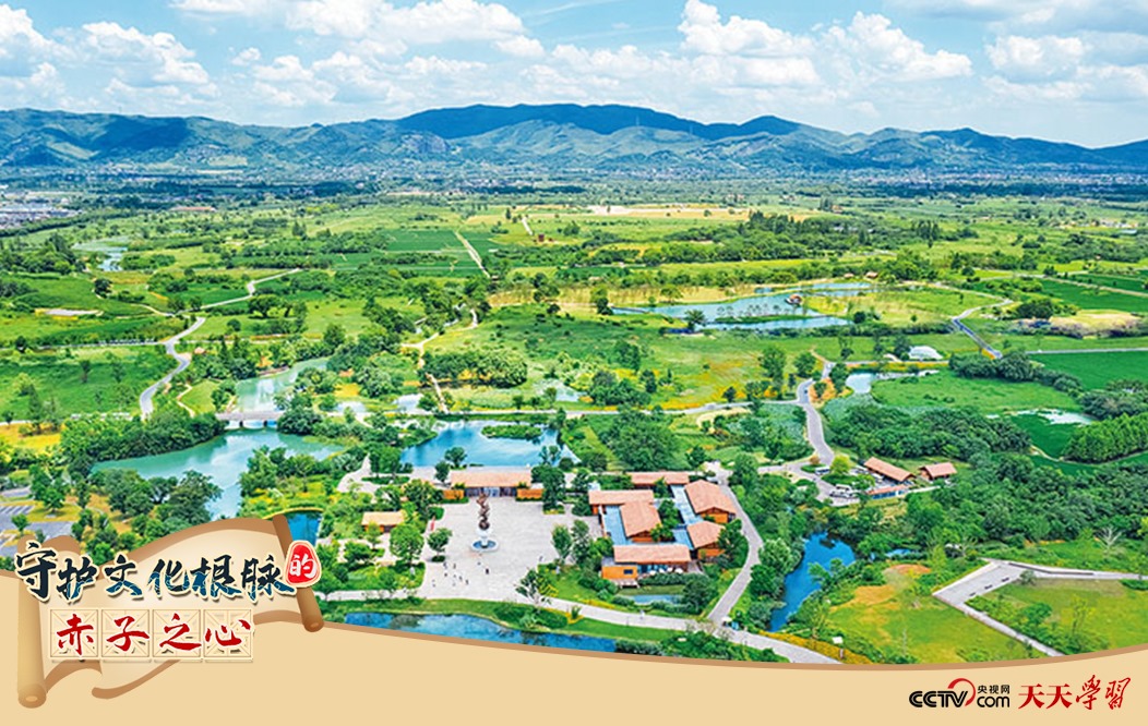 圖為2021年7月拍攝的良渚古城遺址公園。