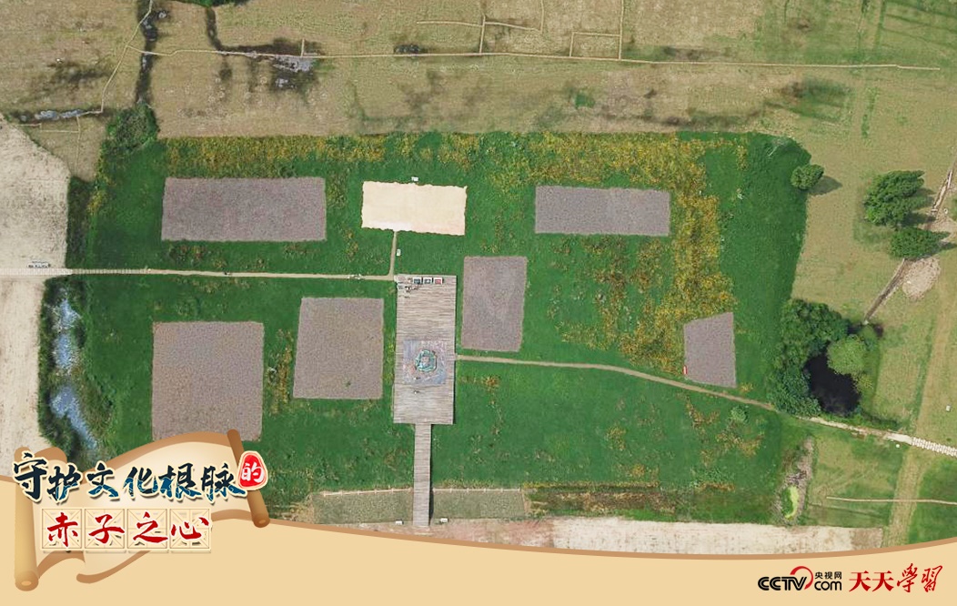 2019年6月23日無人機拍攝的良渚國家考古遺址公園的宮殿區(qū)。
