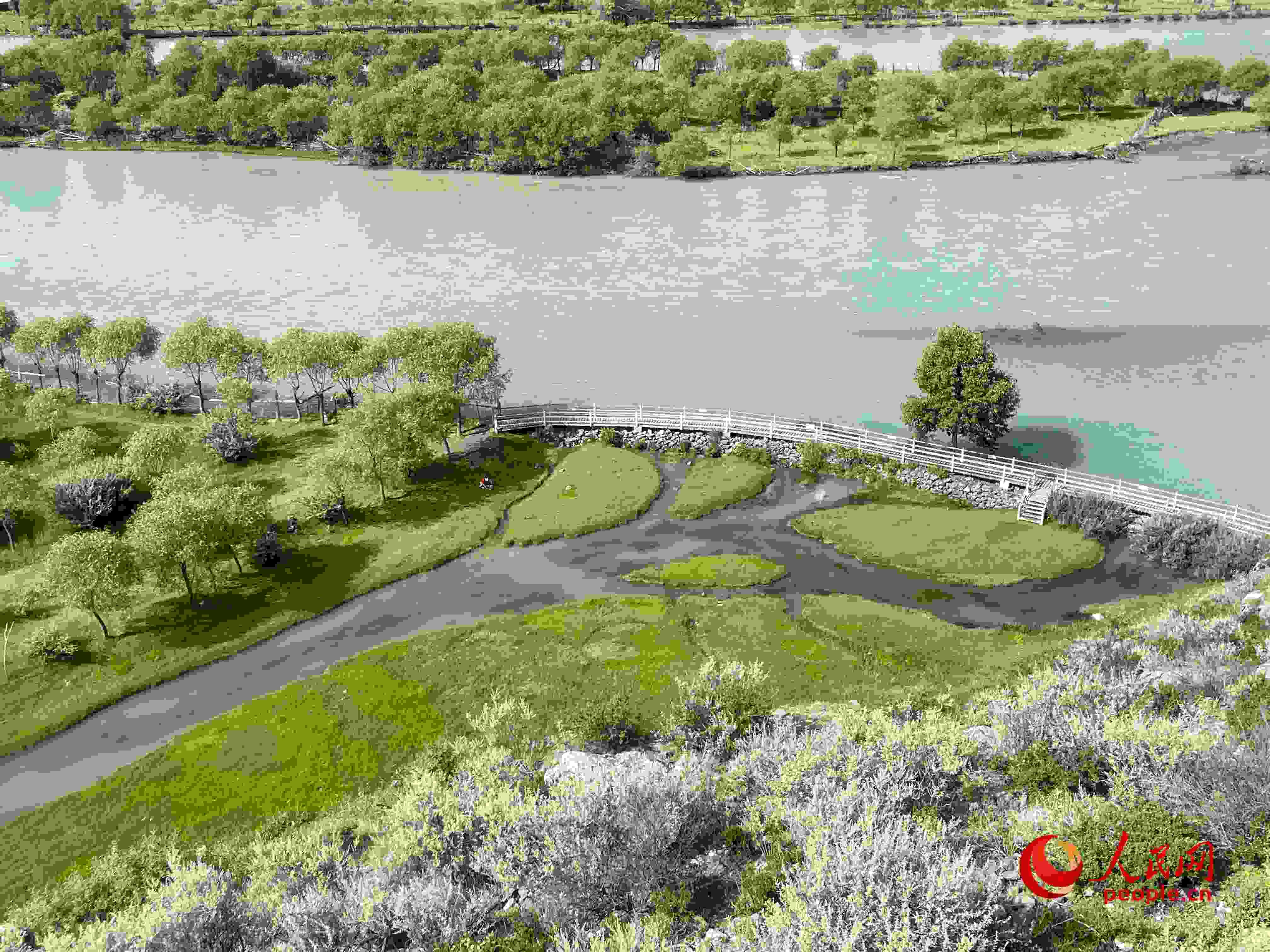 夏日的雅尼國家濕地公園生機盎然，如詩如畫。人民網(wǎng) 周靜圓攝