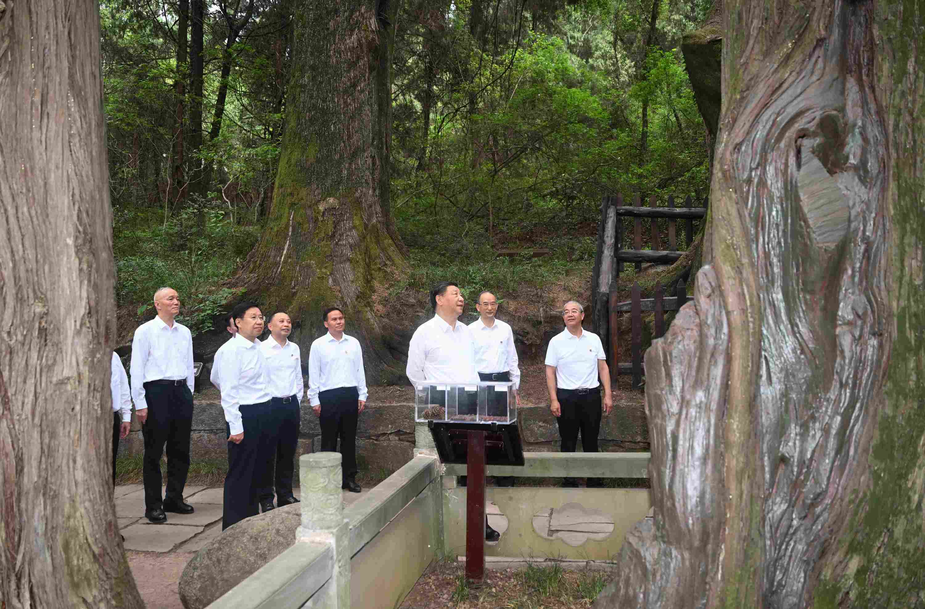 △2023年7月25日，習(xí)近平總書記在四川省廣元市考察了翠云廊古蜀道，了解當(dāng)?shù)赝七M歷史文化傳承、加強生態(tài)文明建設(shè)等情況。
