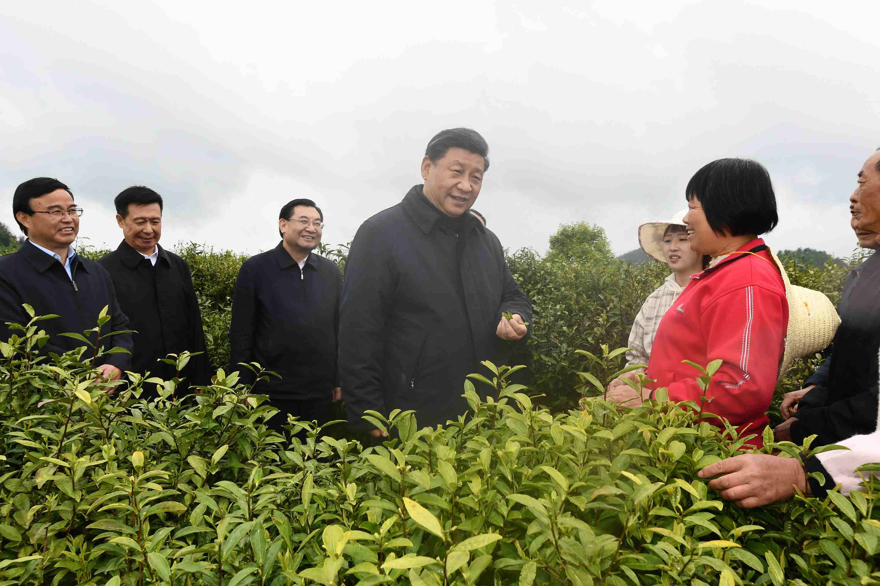 4月20日至23日，中共中央總書記、國家主席、中央軍委主席習(xí)近平在陜西考察。這是4月21日，習(xí)近平在安康市平利縣老縣鎮(zhèn)蔣家坪村女媧鳳凰茶業(yè)現(xiàn)代示范園區(qū)，同茶農(nóng)們親切交談。