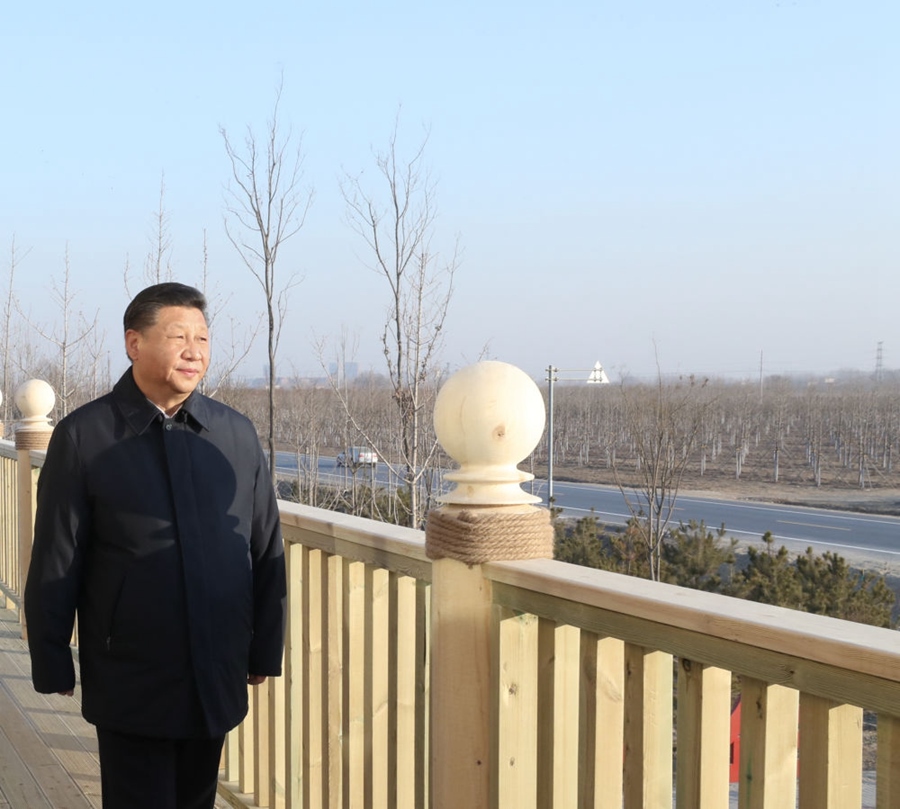 2019年1月16日，習近平在河北雄安新區(qū)考察調研。在“千年秀林”大清河片林一區(qū)造林區(qū)域，習近平登上秀林驛站二層平臺遠眺林區(qū)全貌。