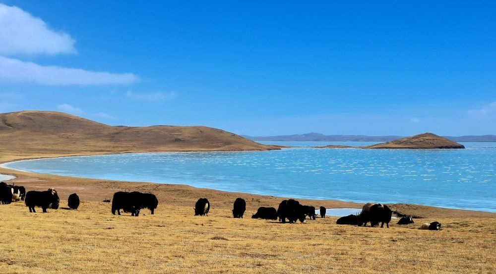 在三江源國(guó)家公園黃河源園區(qū)拍攝的扎陵湖風(fēng)光（2022年3月12日攝）。新華社記者 呂雪莉 攝
