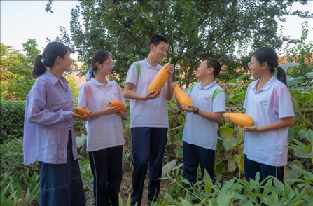 密云區(qū)第五中學(xué)豐收節(jié)活動(dòng)。北京市教委供圖