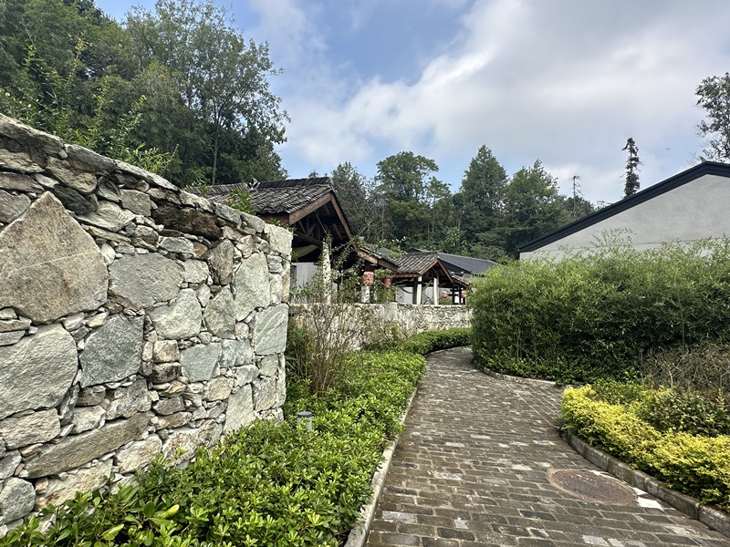 眾多民宿坐落于夫子山山麓。人民網(wǎng) 王紹紹攝