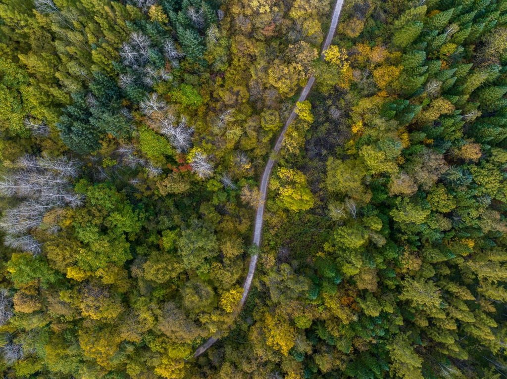 綠意盎然的長白山地區(qū)。王哲攝
