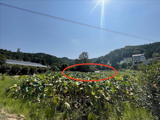 曾經的圣水園所在地。 人民網記者 楊喬攝