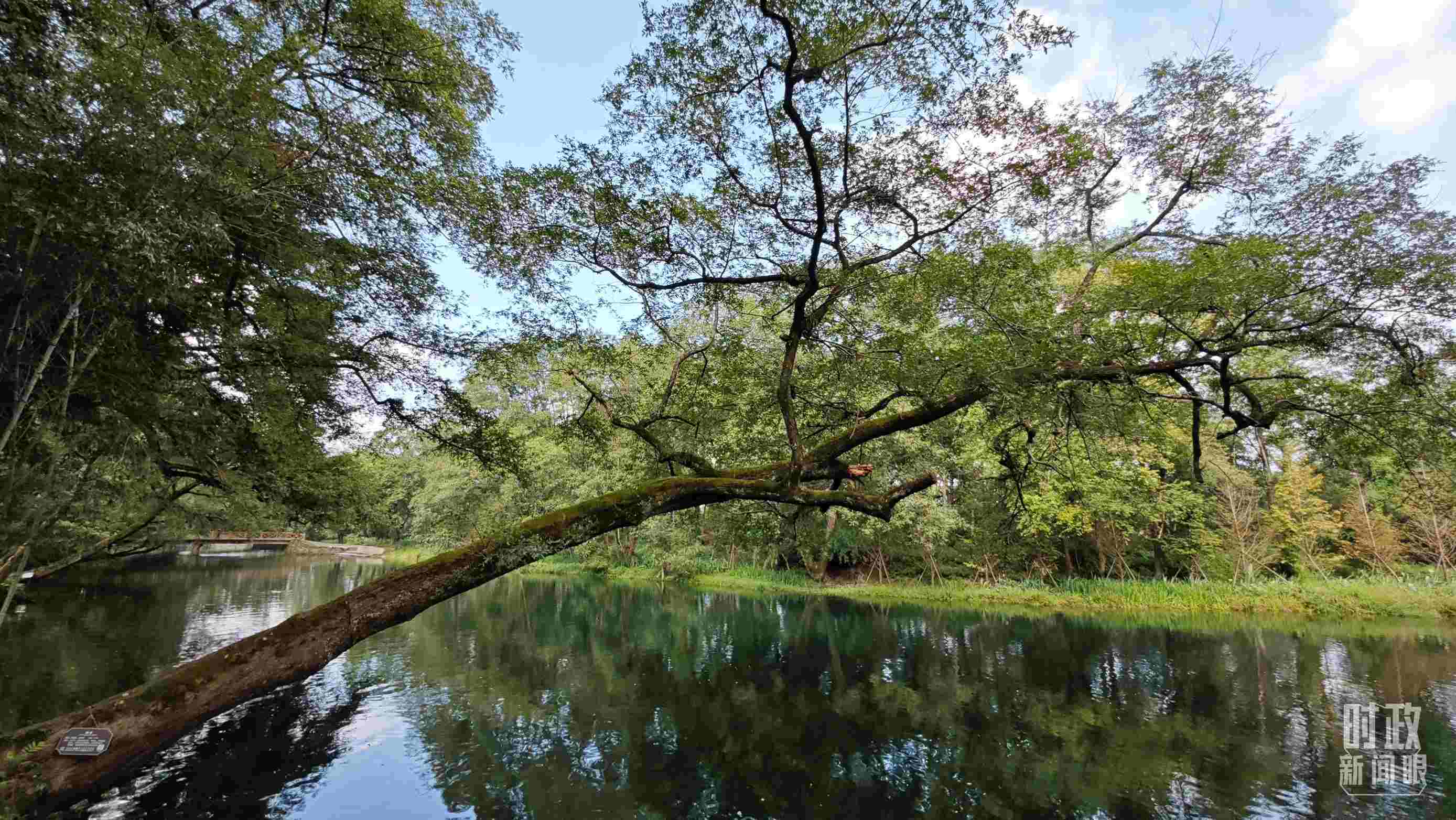 △饒河源國家濕地公園。（總臺央視記者郁振一拍攝）
