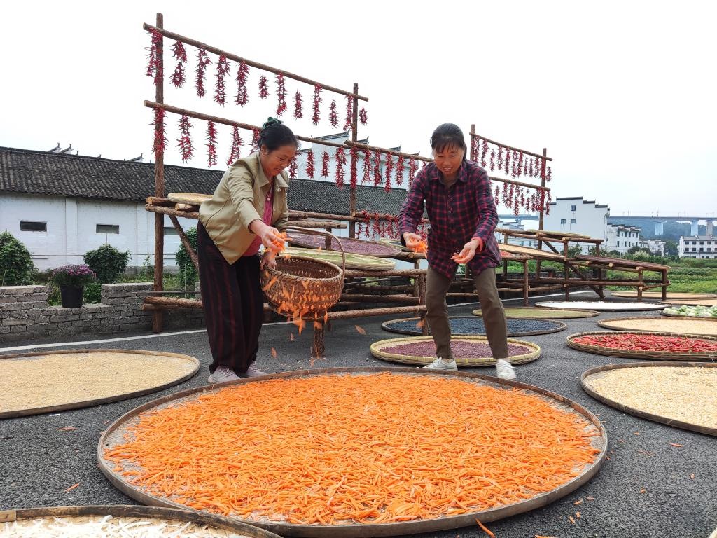 近日，江西省上饒市婺源縣秋口鎮(zhèn)王村的村民正在晾曬農(nóng)作物。新華社記者 劉佳敏 攝