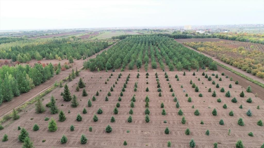 這是2023年9月11日在哈薩克斯坦首都阿斯塔納拍攝的一處植物種質(zhì)資源苗圃（無(wú)人機(jī)照片）。新華社發(fā)（法爾哈特·圖克諾夫 攝）
