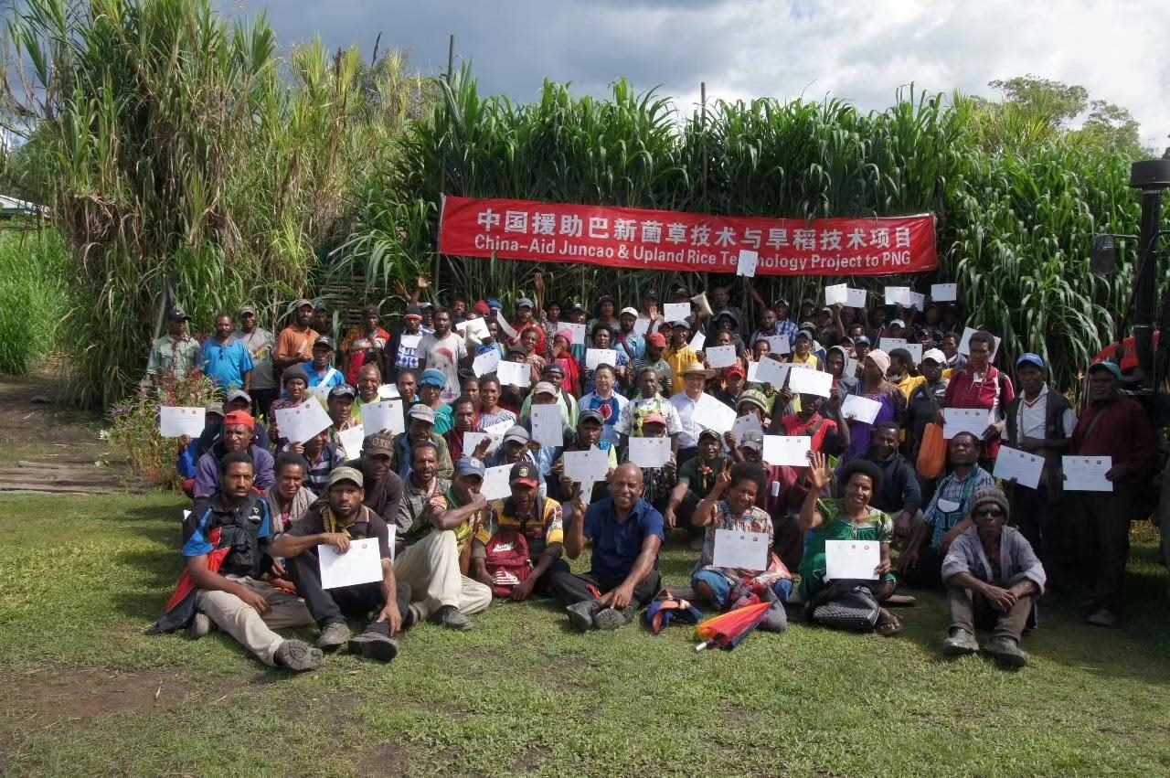 △2020年12月17日，在巴布亞新幾內(nèi)亞東高地省，參加中國援助巴新菌草和旱稻技術(shù)項目第9期培訓班的當?shù)孛癖娬故窘Y(jié)業(yè)證書。