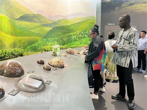  （在中國藥都中醫(yī)藥博物館，外媒記者了解中醫(yī)藥發(fā)展史。中國經(jīng)濟周刊記者 郭志強 攝）