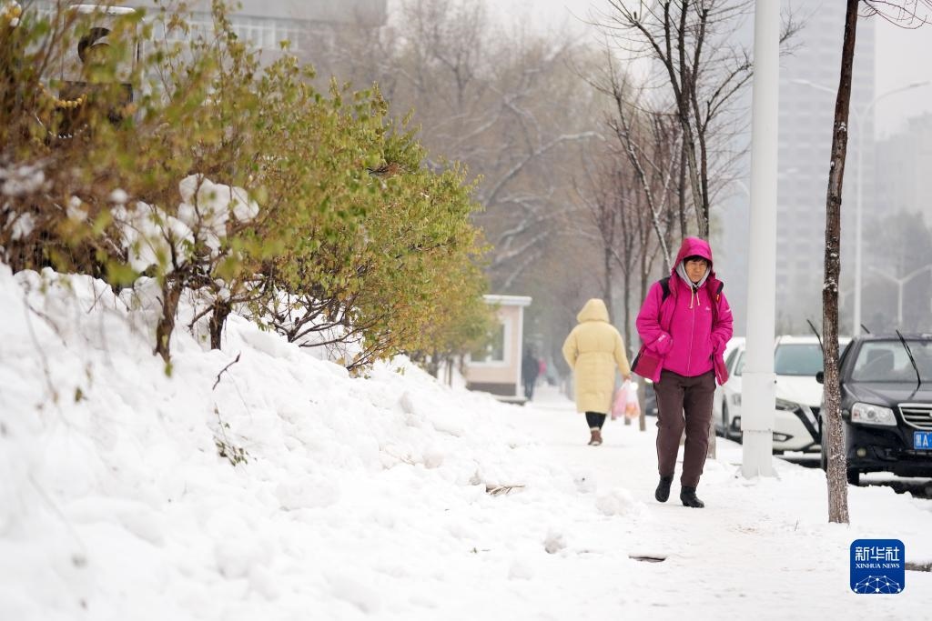11月16日，市民在雪中前行。當(dāng)日，黑龍江哈爾濱市迎來雨雪天氣。新華社記者 王建威 攝