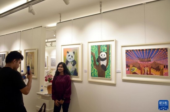 11月22日，在孟加拉國達卡，人們在“國家印象”繪畫展上參觀拍照。新華社發(fā)（薩利姆攝）