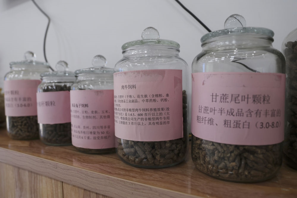 這是12月13日在來賓市興賓區(qū)小平陽鎮(zhèn)一家飼料廠拍攝的以甘蔗尾葉為原料制成的飼料。
