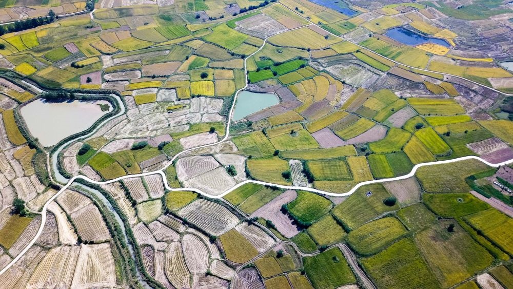 安徽省鳳陽縣小崗村的田野景象（2018年9月27日攝，無人機(jī)照片）。新華社記者 張端 攝