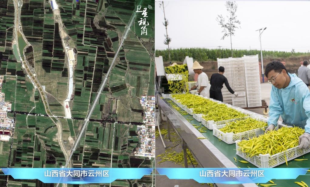 當(dāng)前，大同市開(kāi)發(fā)黃花菜品、食品、飲品、功能食品、化妝品、文創(chuàng)產(chǎn)品六大系列130余種，全產(chǎn)業(yè)鏈產(chǎn)值超40億元。