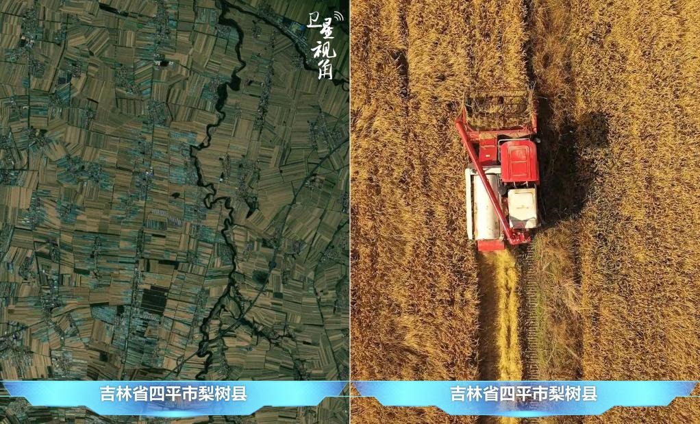 隨著現(xiàn)代化農(nóng)機(jī)普及應(yīng)用，保護(hù)性耕作“梨樹(shù)模式”得以大面積推廣，不僅使黑土地保護(hù)與利用持續(xù)深入，更為糧食作物高產(chǎn)穩(wěn)產(chǎn)助力。