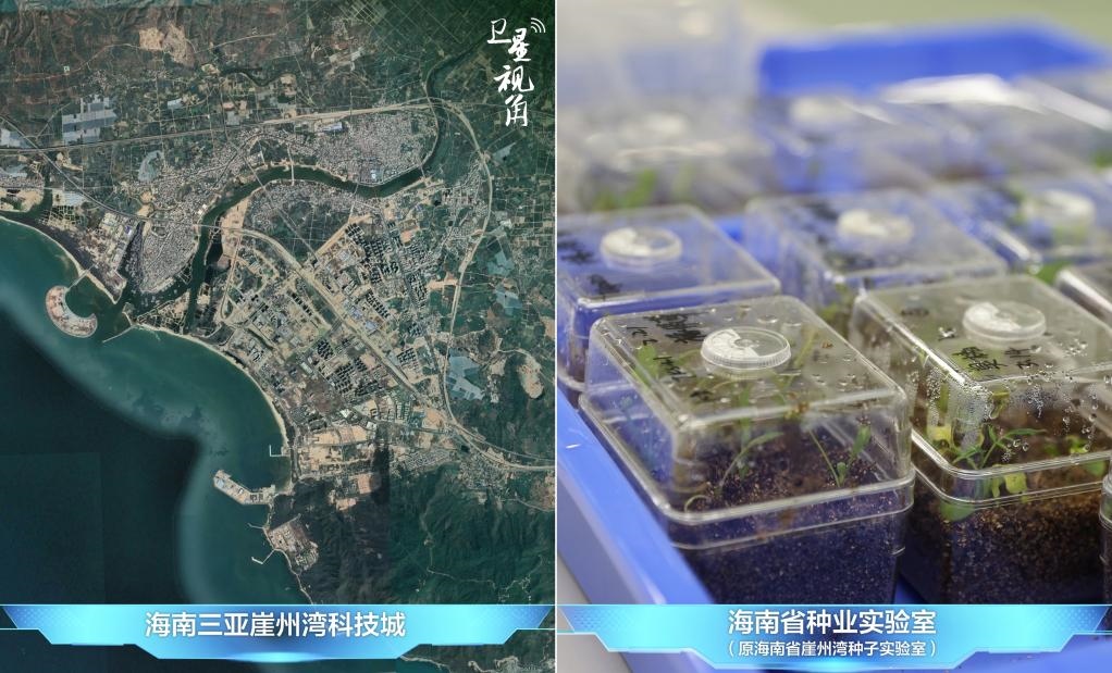 位于三亞崖州灣科技城的海南省種業(yè)實(shí)驗(yàn)室（原海南省崖州灣種子實(shí)驗(yàn)室）將形成輻射全國(guó)和“一帶一路”沿線國(guó)家的種子科學(xué)技術(shù)創(chuàng)新中心。