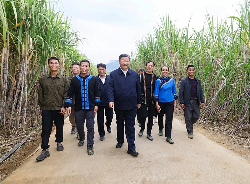 2023年12月14日，習(xí)近平總書記在廣西來賓市國家現(xiàn)代農(nóng)業(yè)產(chǎn)業(yè)園黃安優(yōu)質(zhì)“雙高”糖料蔗基地考察。