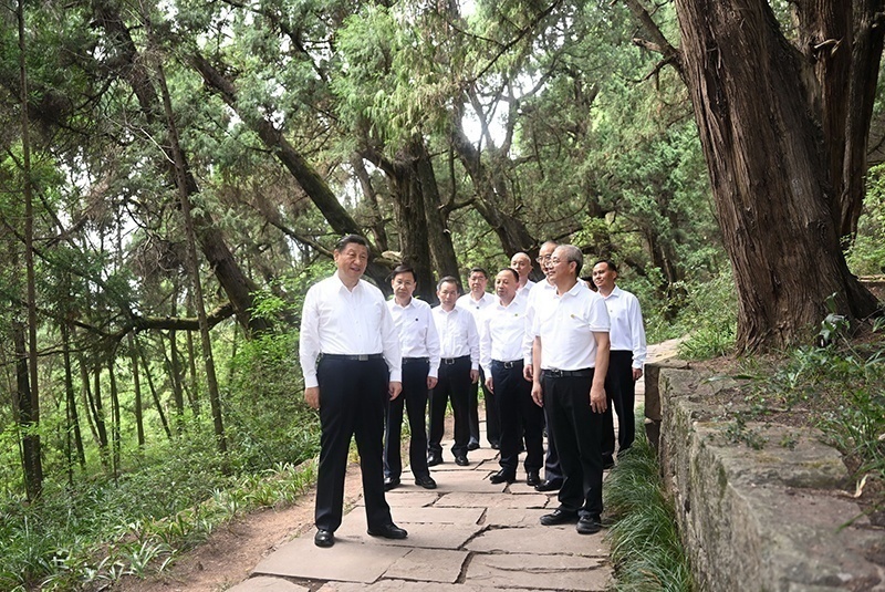 2023年7月25日，習近平總書記在四川廣元市劍閣縣翠云廊考察。新華社記者 謝環(huán)馳 攝