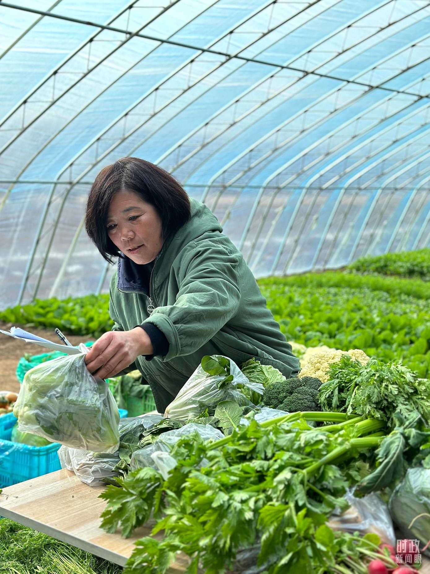 △第六埠村村民正在打包分裝蔬菜。（總臺央視記者盧心雨拍攝）