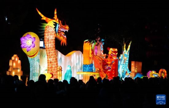 2月11日晚，人們在濟南市趵突泉公園觀賞花燈。